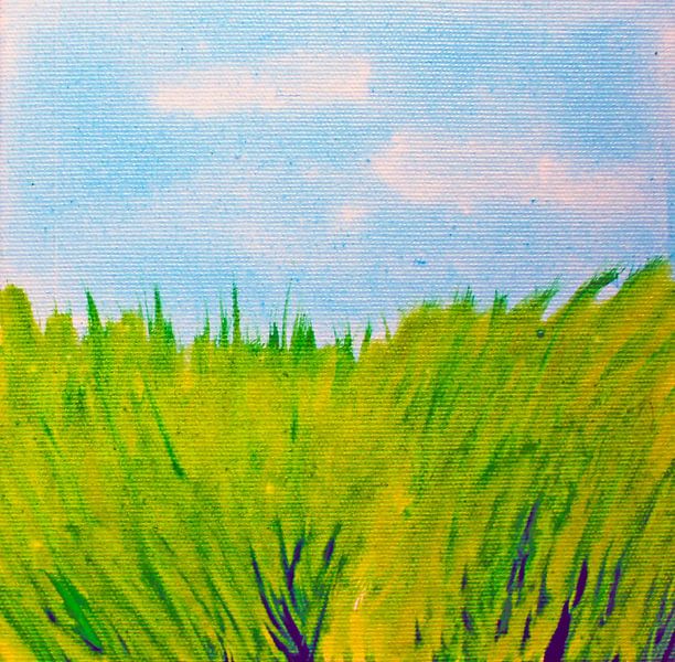 meadow by M.A. Ziehr
