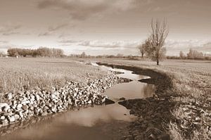 Fischauktion auf der Insel Maurik in Sepia