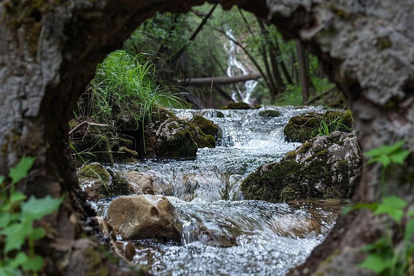 doorkijk van Imperial Art House