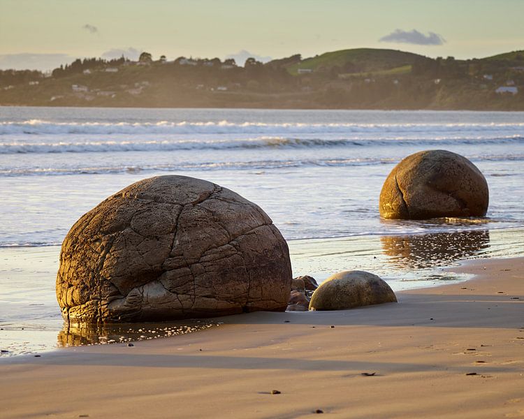 Moeraki-Felsen @ Sonnenaufgang von Keith Wilson Photography