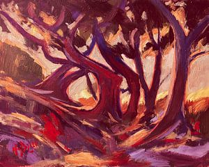 Der rote Olivenhain