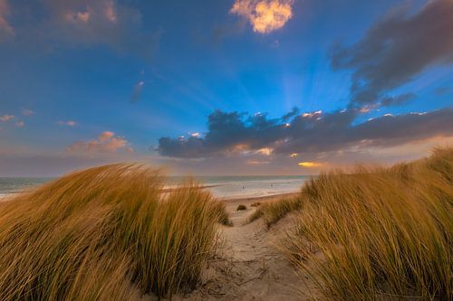 Sonnenstrahlen Texel