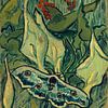 Vincent van Gogh, Grote nachtpauwoog van 1000 Schilderijen
