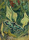 Vincent van Gogh, Grote nachtpauwoog van 1000 Schilderijen thumbnail