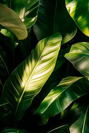 Green leaves by Poster Art Shop