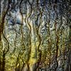 Gold and Silver Abstract | Fine Art Photography by Nanda Bussers