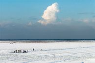 Winterlandschaft von Geertjan Plooijer Miniaturansicht