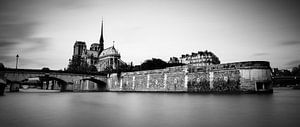 Notre Dame - Paris sur Joram Janssen