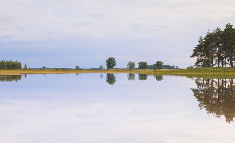 Dwingelderveld - Drenthe (Netherlands) by Marcel Kerdijk