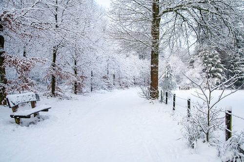 I love you van Léontine Lamers