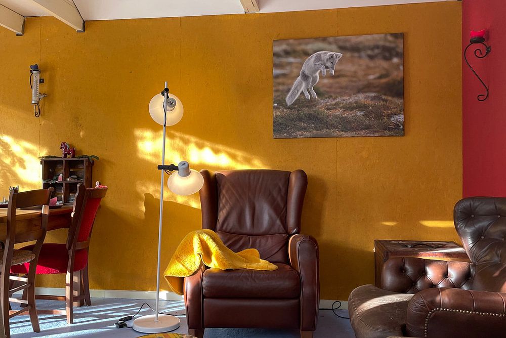 Polarfuchs in Norwegens Herbstlandschaft  von Menno Schaefer 