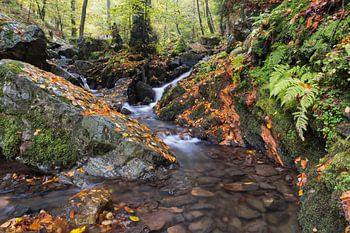 ijzerafzettingen in de Ninglinspo