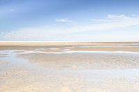 Strand Oostvoorne