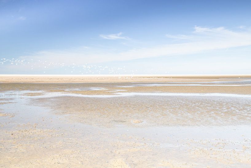 Strand Oostvoorne van Perspective