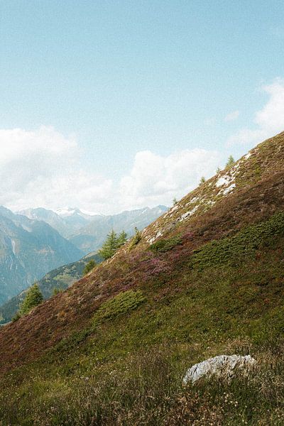 Austrian mountains with flowering heather with nostalgic vibes by Holly Klein Oonk