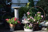 Summerflowers