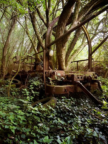 Lost in de Woods (Urban)