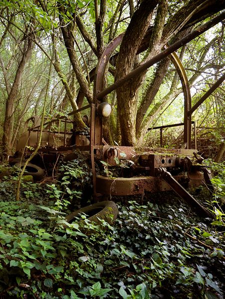 In den Wäldern verloren (Urban) von Helga fotosvanhelga