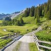 idyllique itinéraire de randonnée vallée du Gafiertal, petit pont, Alpes suisses sur SusaZoom