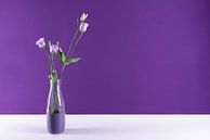 modernes Stilleben violett von Anita Visschers Miniaturansicht
