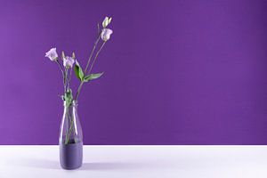 moderne stilleven paars