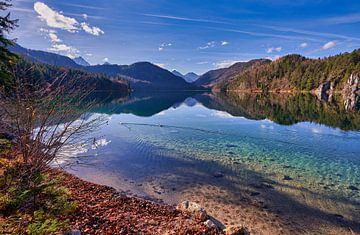 Spätherbst am Alpsee in Hohenschwangau von Einhorn Fotografie