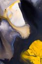 Macro photography acrylic paint black and yellow by angelique van Riet thumbnail