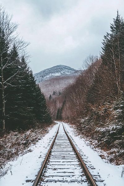 Abandoned railway line in the snow by Art & Soul Creations