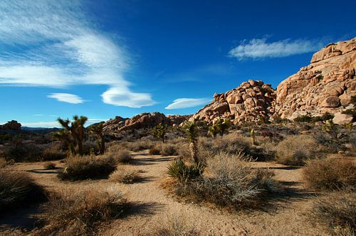 Rotsen in Joshua Tree Nationaal Park