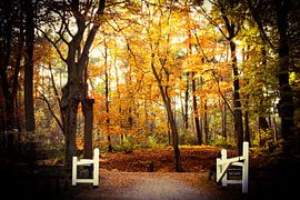 Der Weg zu..... von Sabina Meerman