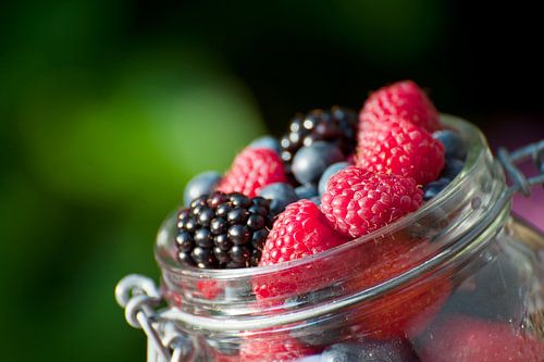 Bosvruchten gemengd in pot