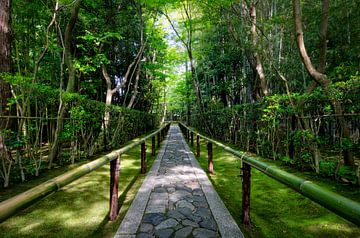 Bamboe tempel in Japan von Michael Bollen