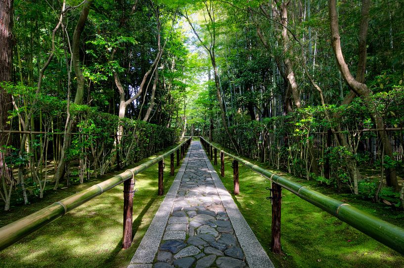 Bamboo-Tempel in Japan von Michael Bollen