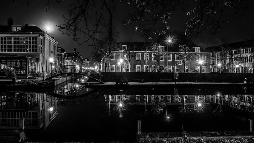 White girth Leiden by Dirk van Egmond