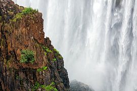 The Victoria Falls at Livingstone and Victoria Falls by Evert Jan Luchies