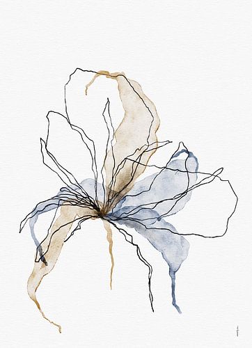 SPLASH digitale aquarel met lijn