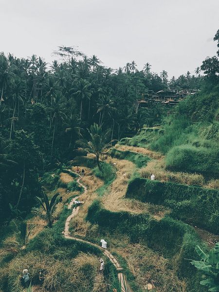 Bali by Hello Pompoyo