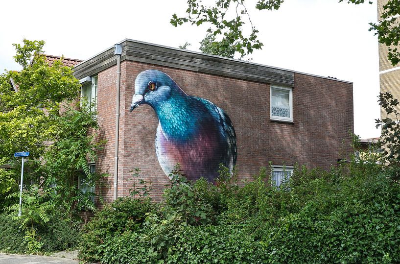 duif muurschildering straatbeeld zierikzee van Frans Versteden
