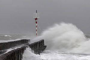 Storm Bella van Linda Raaphorst