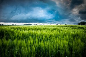 Gewitterwolken