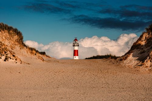 De vuurtoren van ameland in de duinen