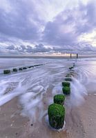 Strukturen im Meer