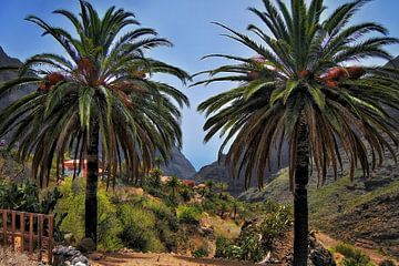 The Masca Gorge in Tenerife by Maickel Dedeken
