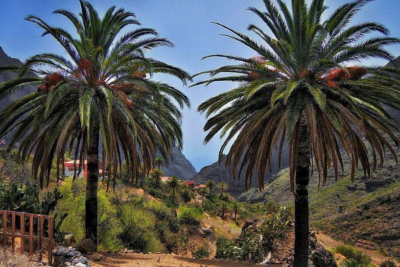 The Masca Gorge in Tenerife by Maickel Dedeken
