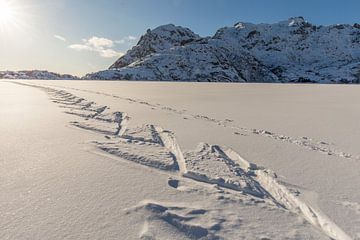 Cross country skiing track in bright sunny weather. Lofoten, Norway.