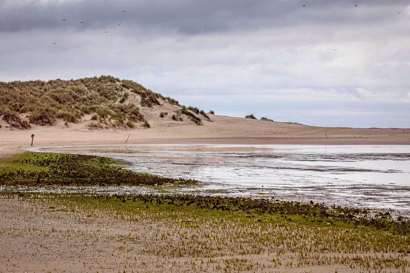 Strand am Slufter auf der Insel Texel von Rob Boon