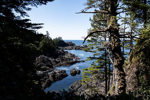 Baai in Canada van S van Wezep