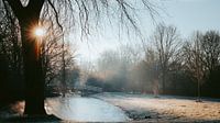 Lumière hivernale magique