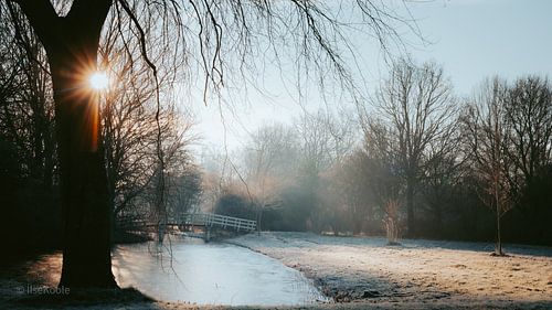 Magical winter light
