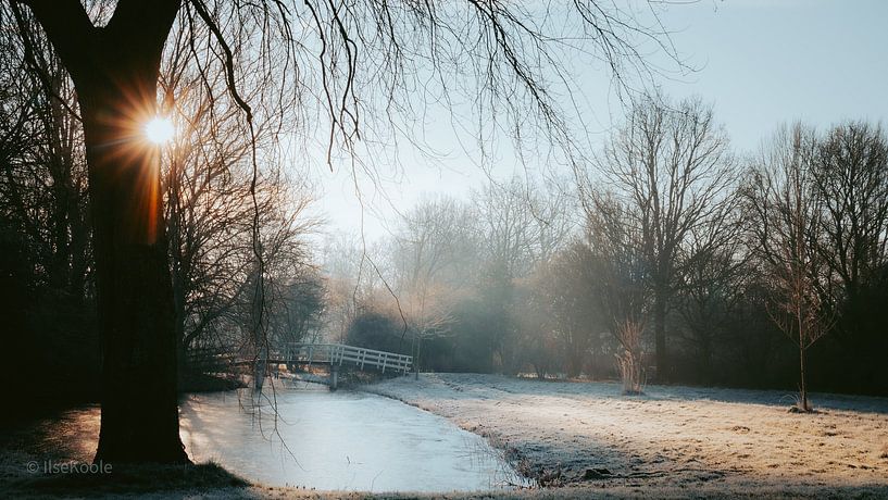 Magisches Winterlicht von IlseKoole